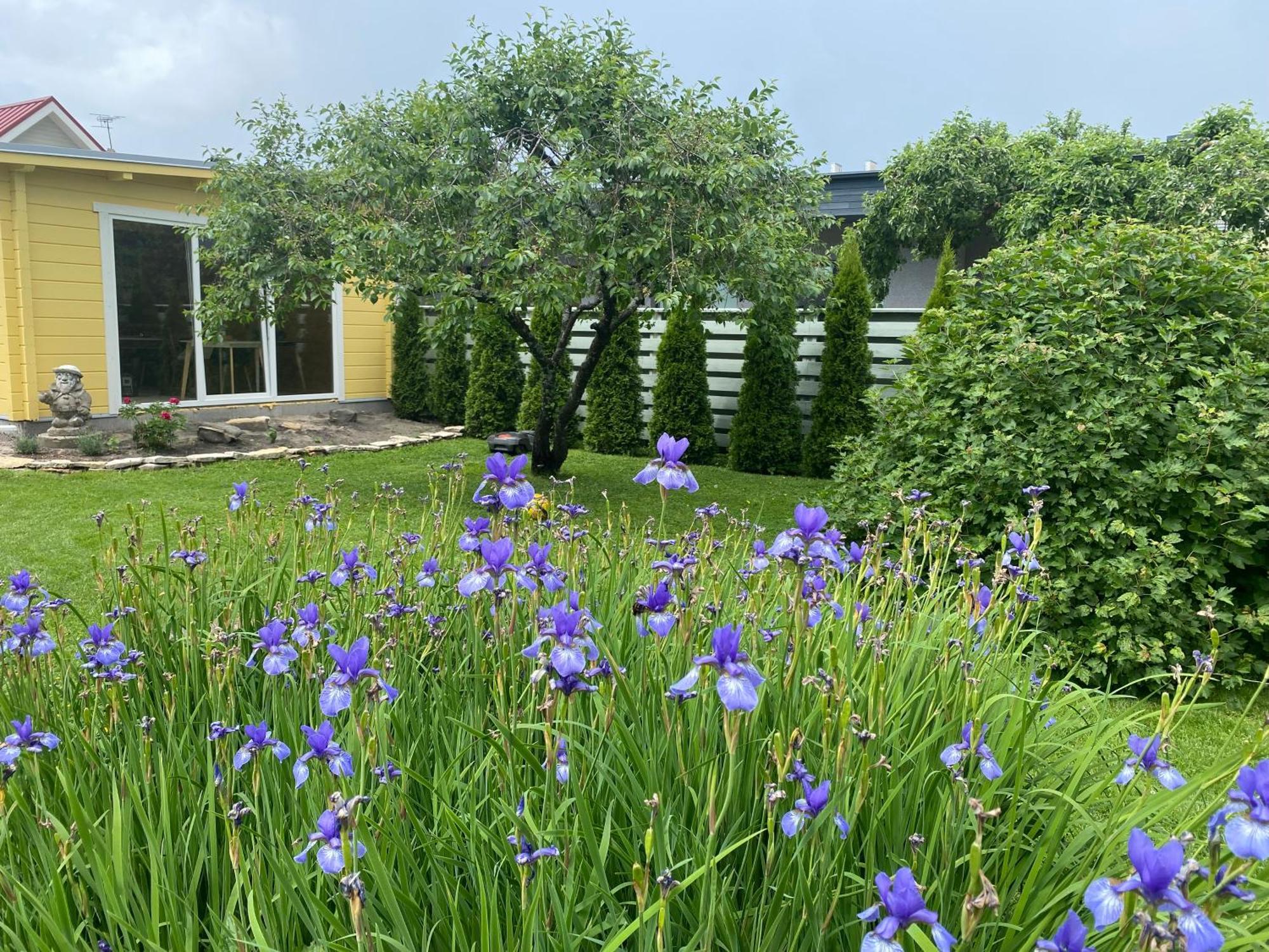 Ferienwohnung Ranna Majutus Pärnu Exterior foto